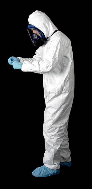 Reliable Bent Creek, NC Mold Removal Solutions